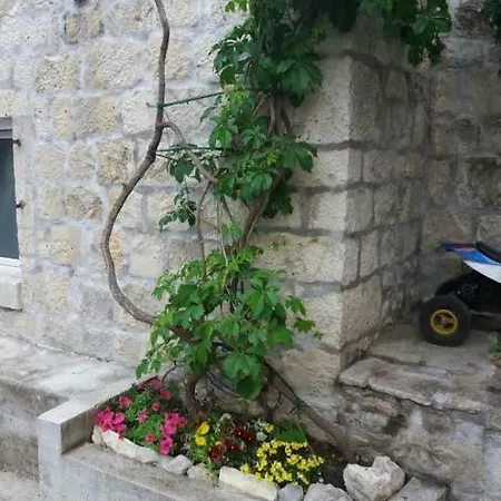 Anatony Каштела